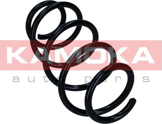 Coil spring 2110836