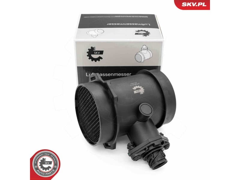 Mass Air Flow Sensor 07SKV213