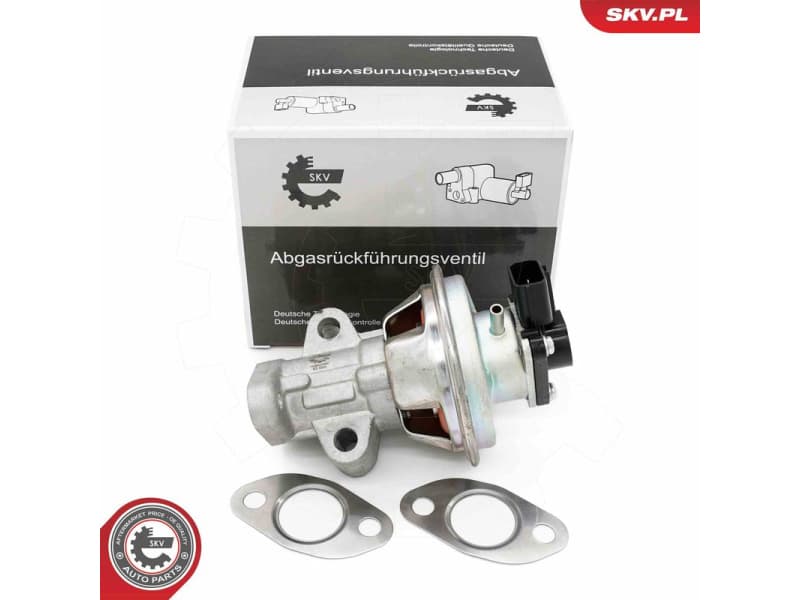 EGR Valve 14SKV262