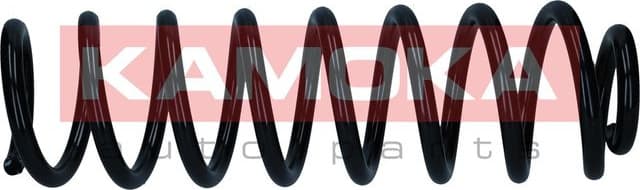 Suspension Spring 2120325