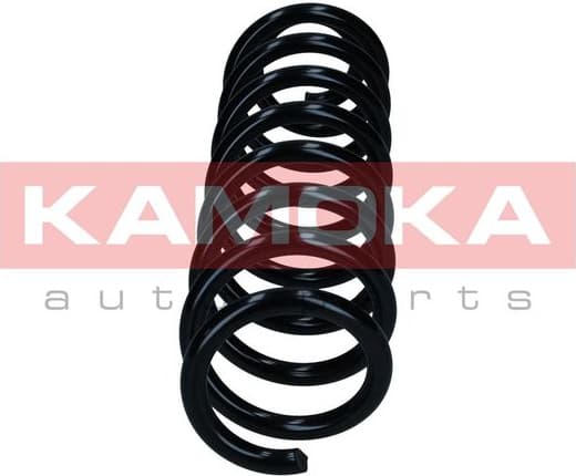 Suspension Spring 2120325 - image 4