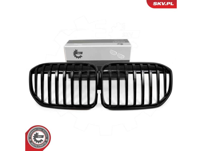 Radiator Grille 66SKV224