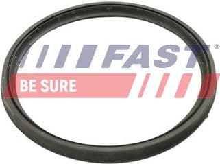 Seal Ring, charge air hose FT49922 - image 2