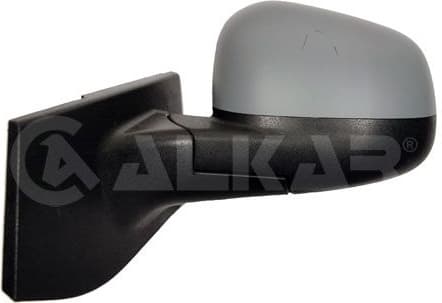 Exterior Mirror 6137456