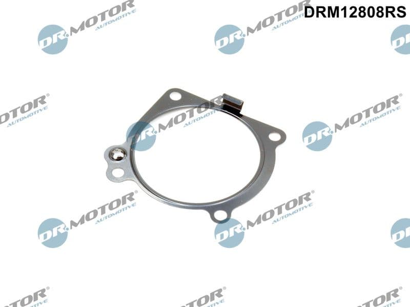 Gasket, intake manifold DRM12808RS