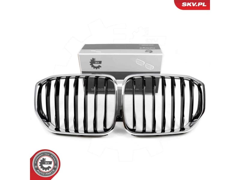 Radiator Grille 66SKV302