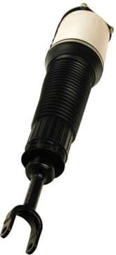 Air Suspension Strut 11-0779