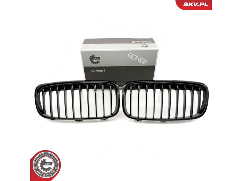 Radiator Grille 66SKV039
