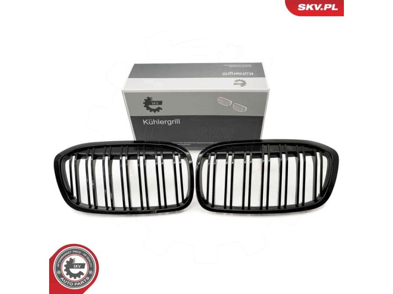 Radiator Grille 66SKV042