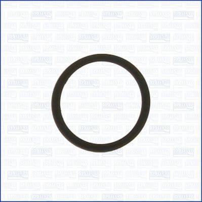 Seal Ring, coolant pipe 00757500