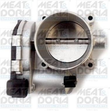 Throttle Body 89309