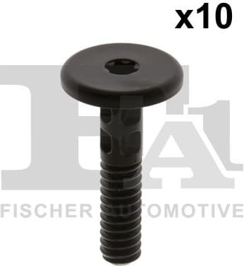 Clip, trim/protection strip 10-70002.10