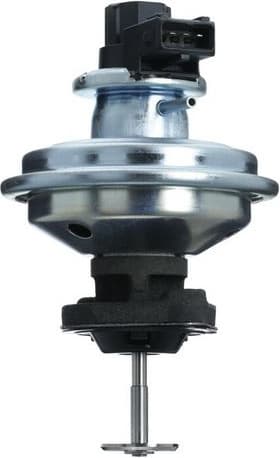 EGR Valve 703237