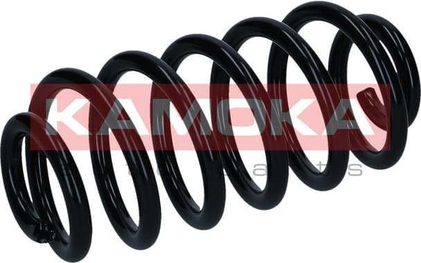 Suspension Spring 2120561 - image 4