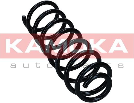 Suspension Spring 2120584