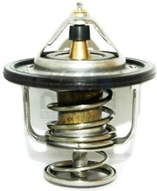 Thermostat, coolant 92310