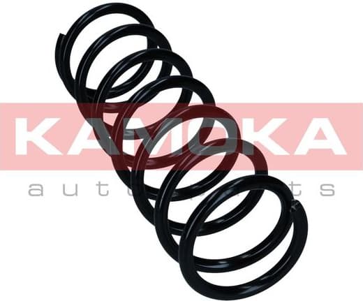 Suspension Spring 2120457