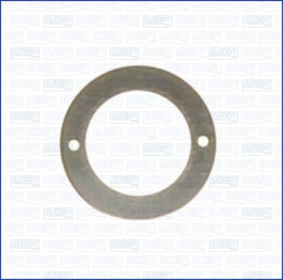 Gasket, oil inlet (charger) 00783400