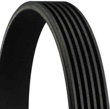 V-ribbed Belt 6PK778 ELAST