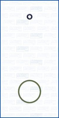 Seal Kit, injector nozzle 77009500
