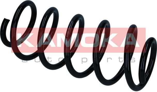 Coil spring 2110827