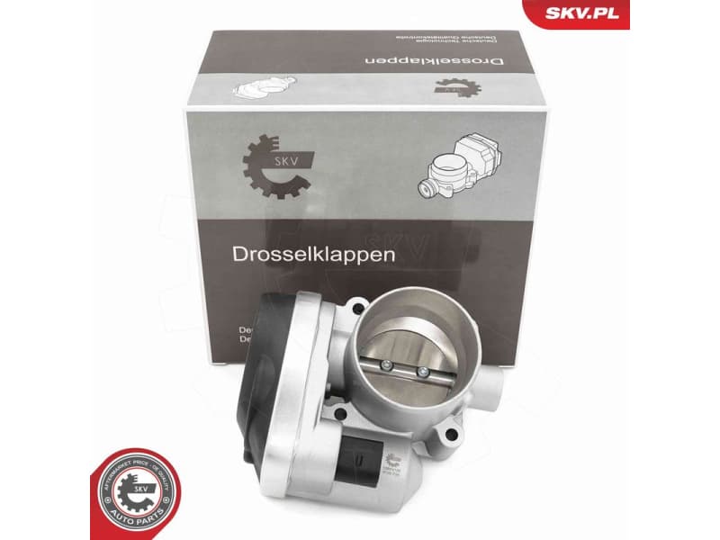 Throttle Body 12SKV146