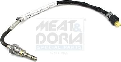 Sensor, exhaust gas temperature 12453