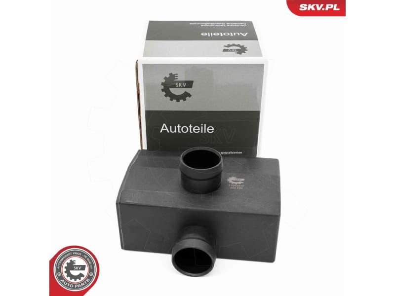 Oil Separator, crankcase ventilation 31SKV418