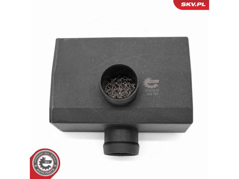 Oil Separator, crankcase ventilation 31SKV418 - image 3