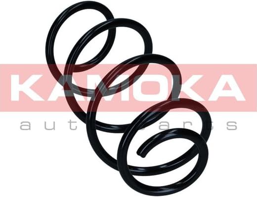 Suspension Spring 2110844