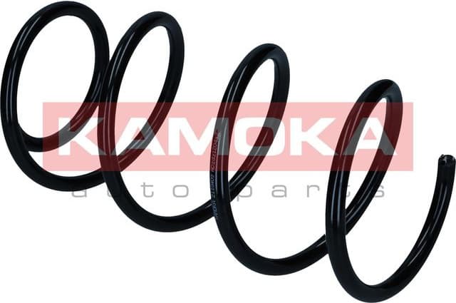 Suspension Spring 2110409