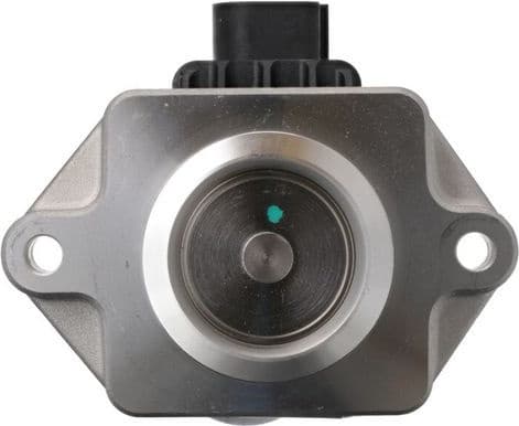 EGR Valve 703217