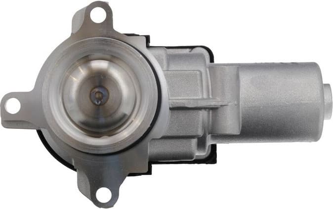 EGR Valve 703276
