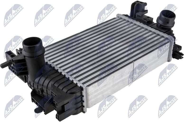 Charge Air Cooler CNG-PL-009