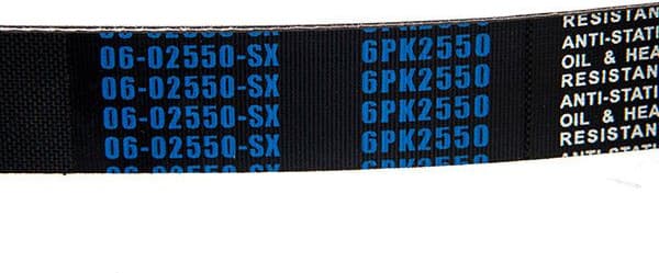 V-ribbed Belt 06-02550-SX - image 3