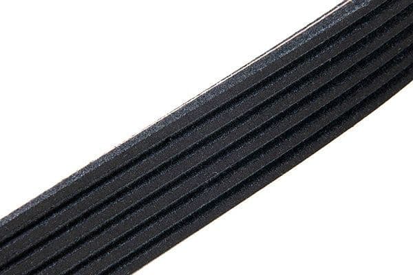 V-ribbed Belt 06-02550-SX - image 4