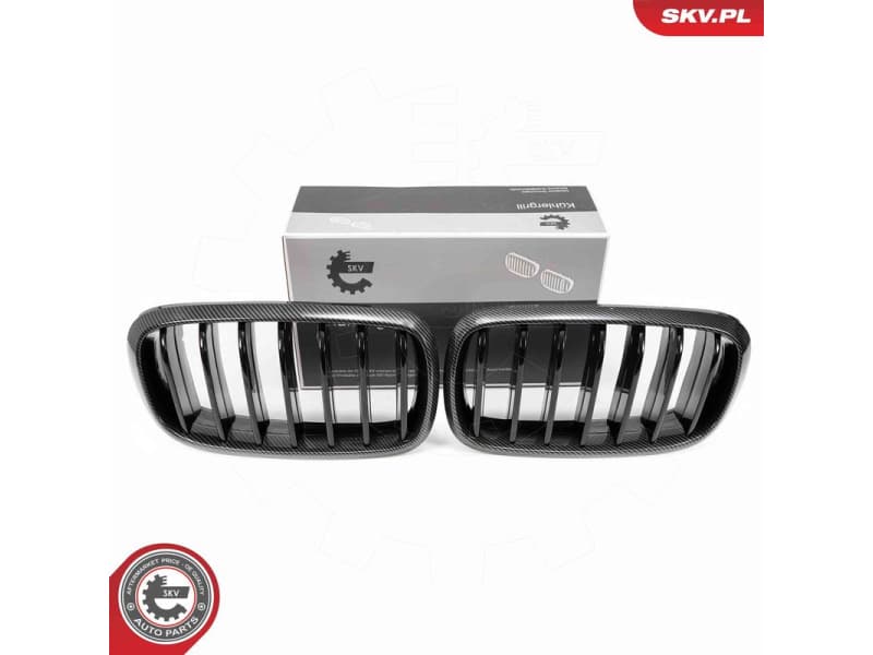 Radiator Grille 66SKV295