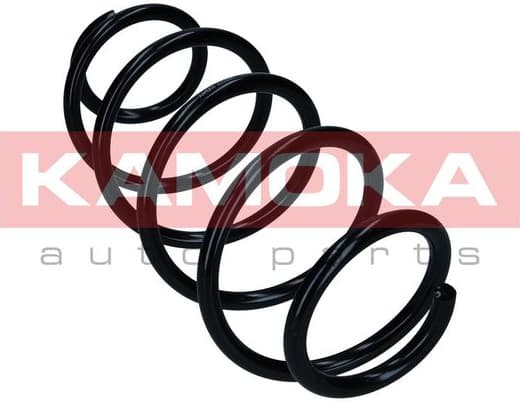 Suspension Spring 2110367