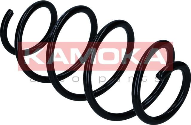 Suspension Spring 2110451