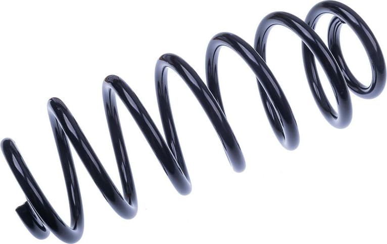 Suspension Spring D700460