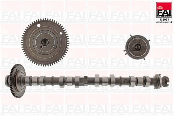 Camshaft C528