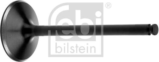Intake Valve 15363
