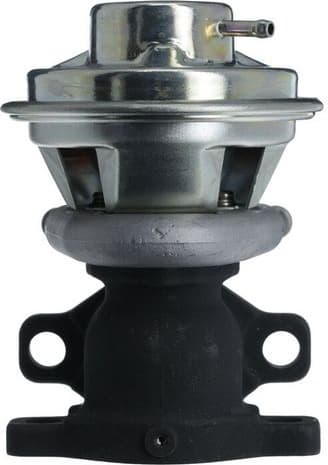 EGR Valve 703241