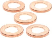 Seal Ring, injector shaft 2430105049