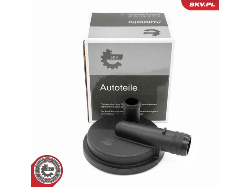 Valve, crankcase ventilation 31SKV415