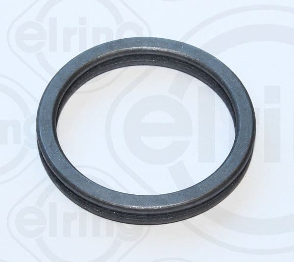 Gasket, coolant flange 223.690