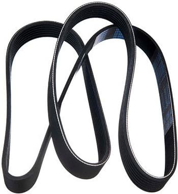 V-ribbed Belt 07-01550-SX