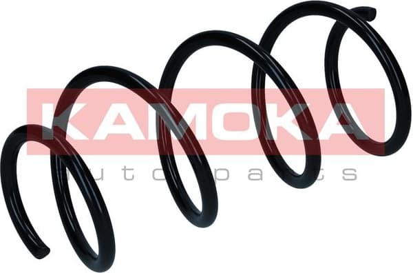 Suspension Spring 2110651