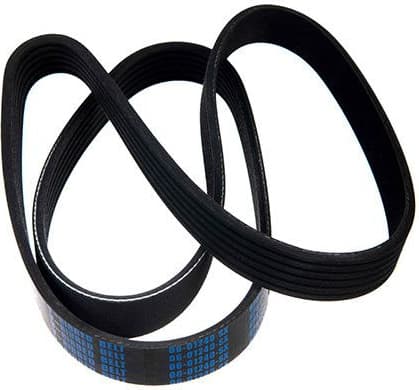 V-ribbed Belt 06-01240-SX
