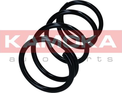 Suspension Spring 2110499